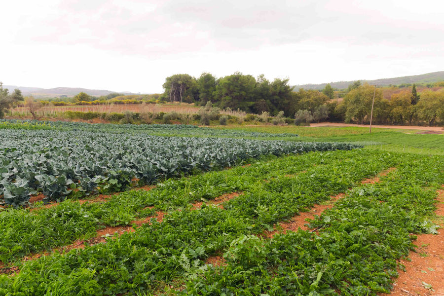 FpZd4kDa_0014-Efzin-1-scaled (2).jpg